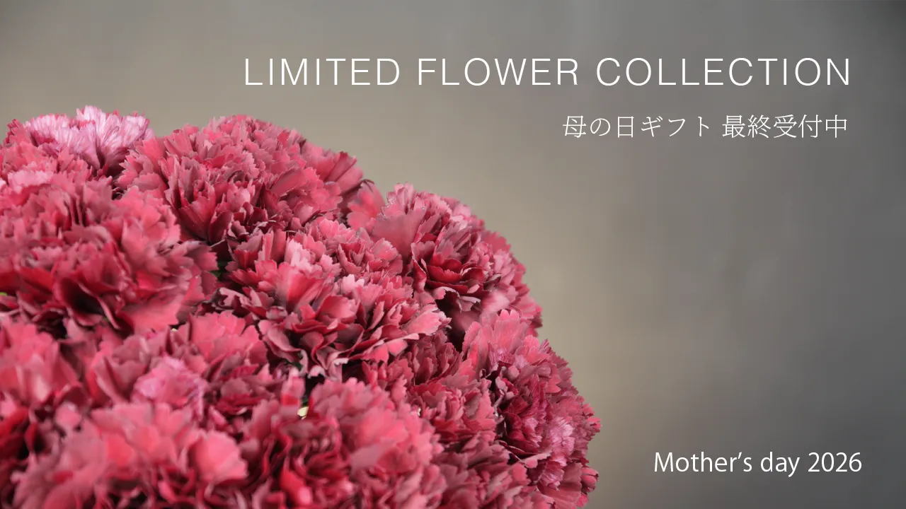 Mother's Day Collection
