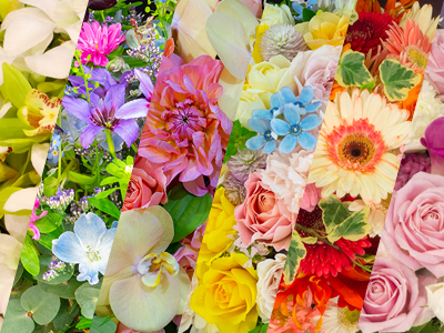 おまかせアレンジメント