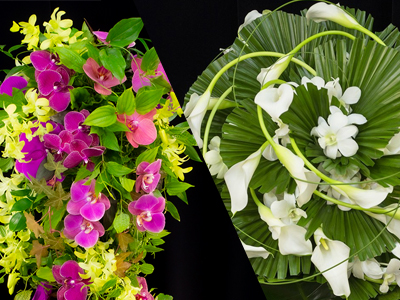 プレミアムデザイン