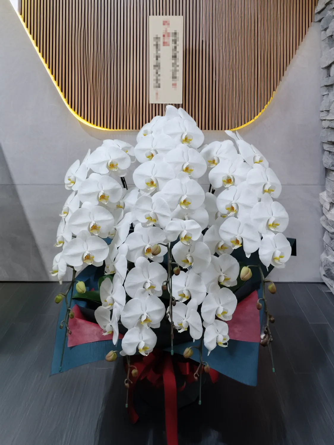 就任祝いの胡蝶蘭