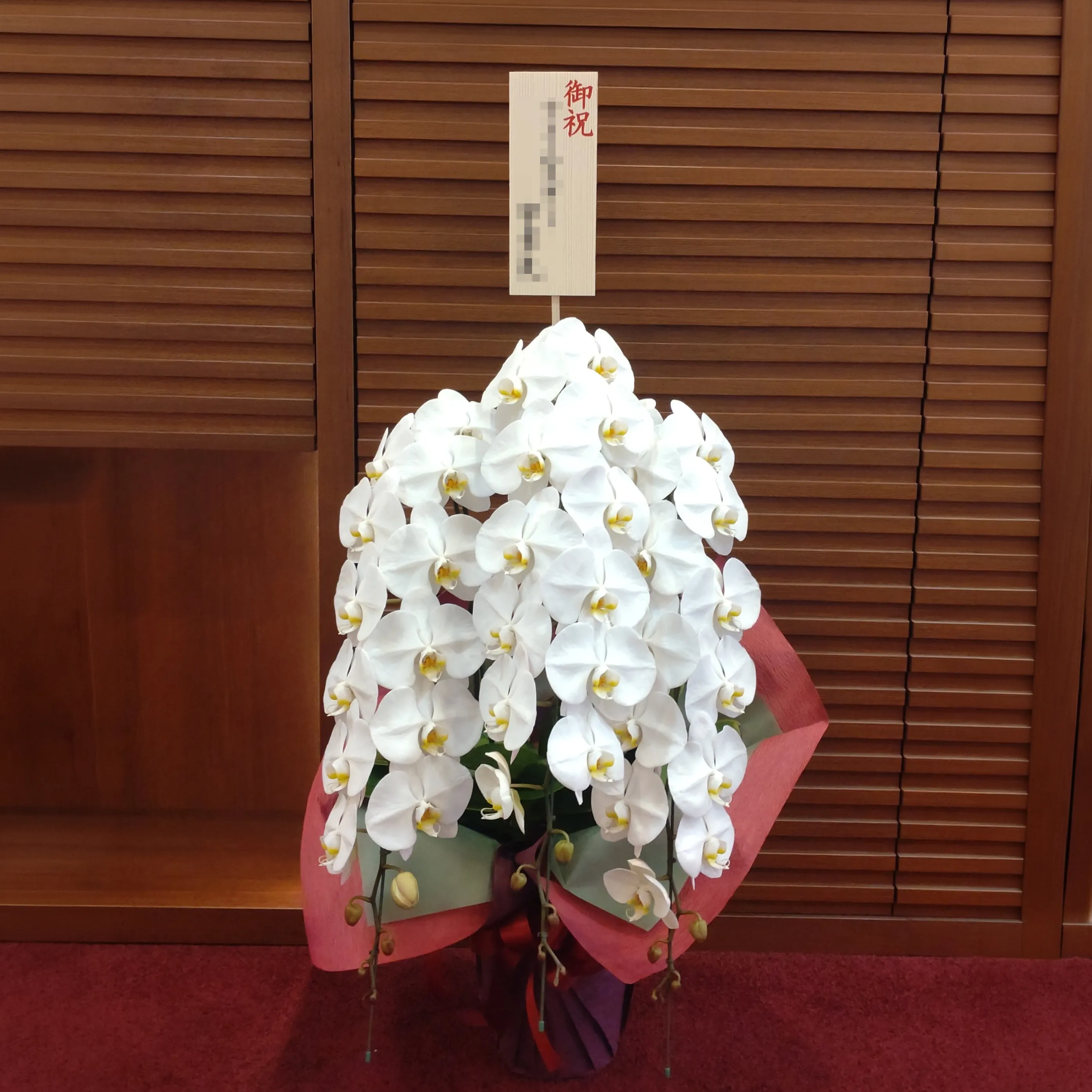 格式高い胡蝶蘭が飾られた受付