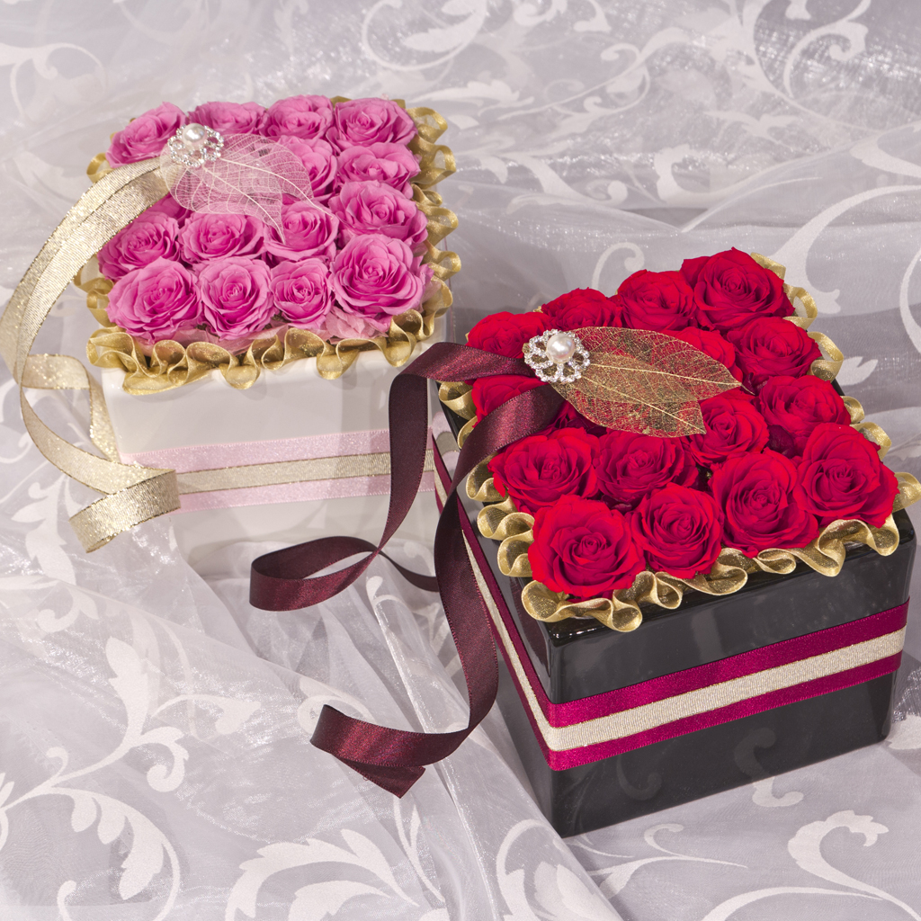 プリザーブド  エクラン