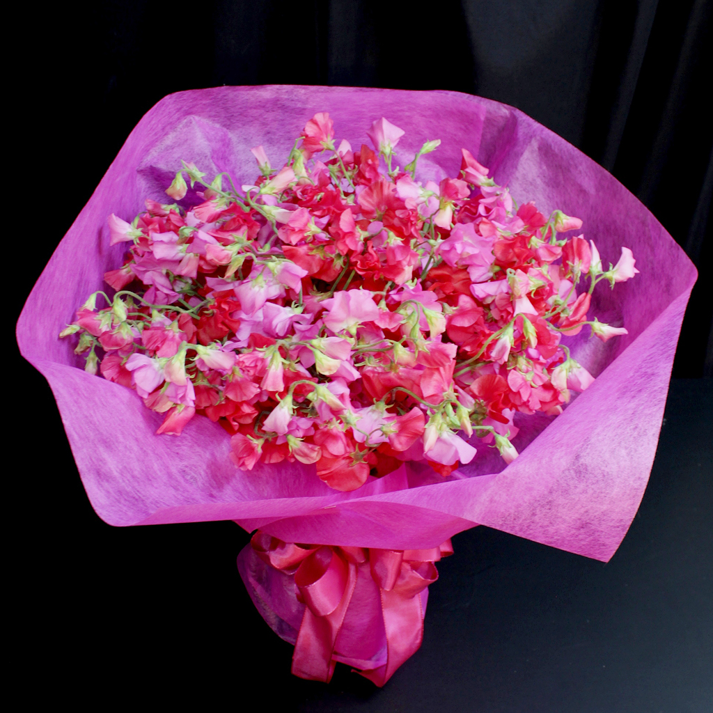 スイートピーだけの大きな花束