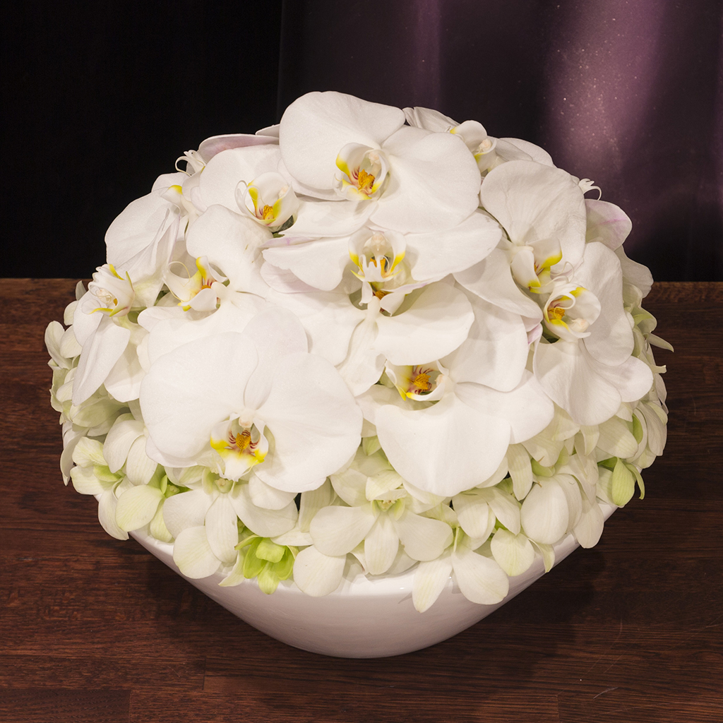 ファレノボウル