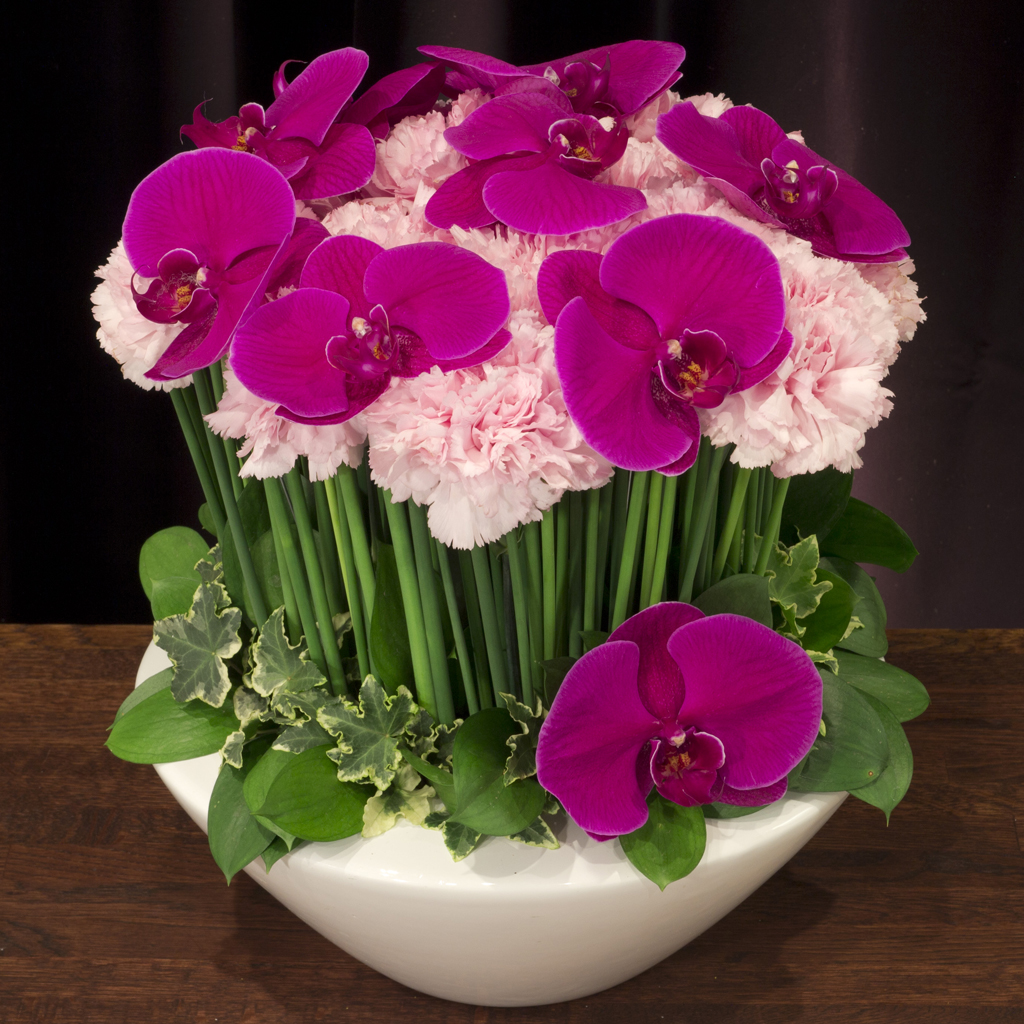 ハッピーバタフライ