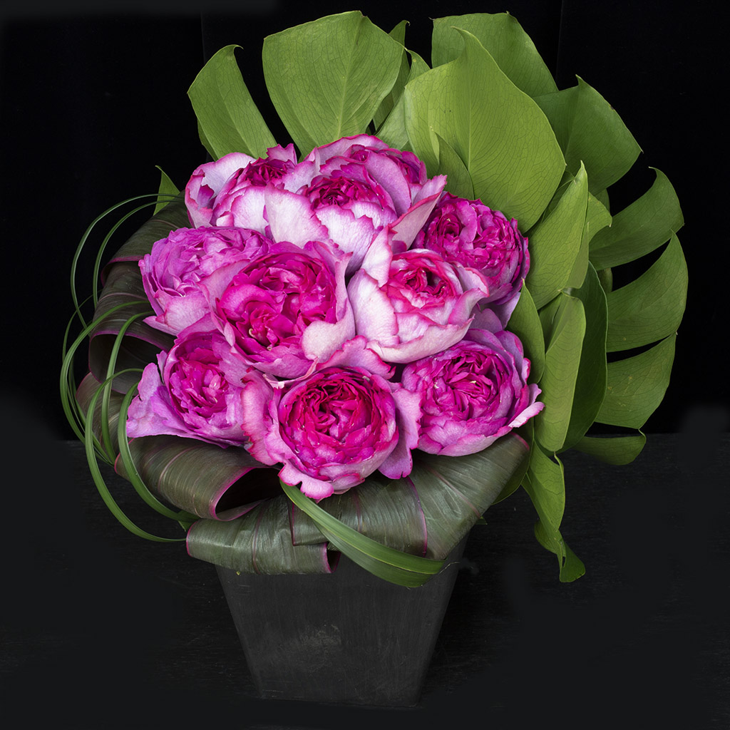 香り高いバラ「イヴ・ピアジェ」を贅沢に使用した、シャクヤクのように華やかなアレンジメント