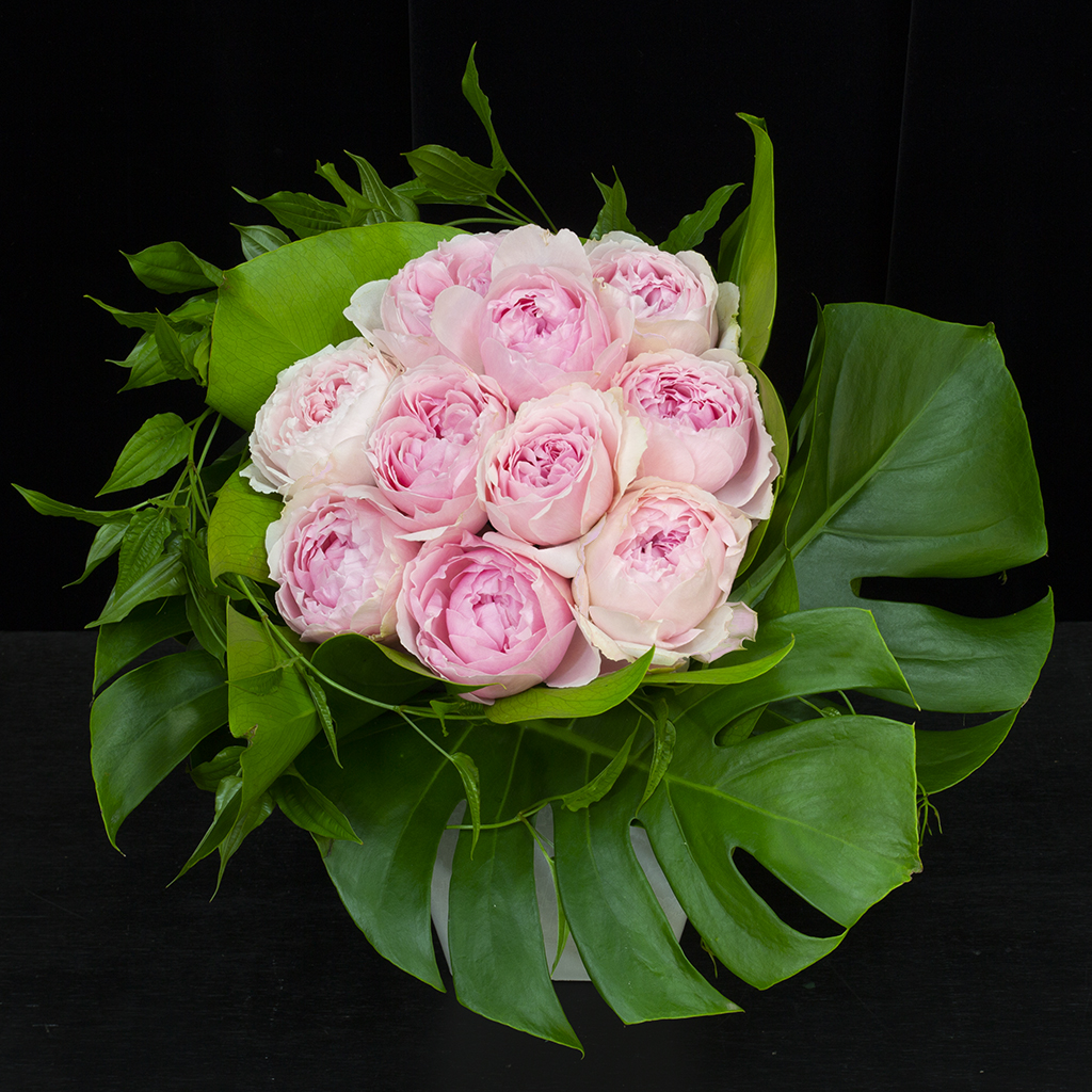 ベビーピンクのバラをふんわりと仕立てた、優しくモダンなアレンジメント フィルフィ・ベビーローズ