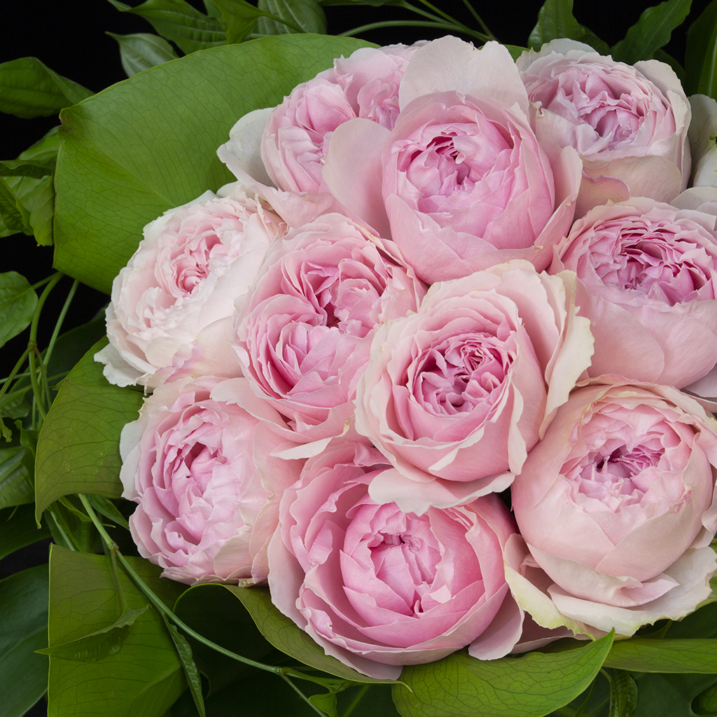 柔らかなベビーピンクのバラの花弁と、繊細な色調が織りなすフラワーデザインの近景