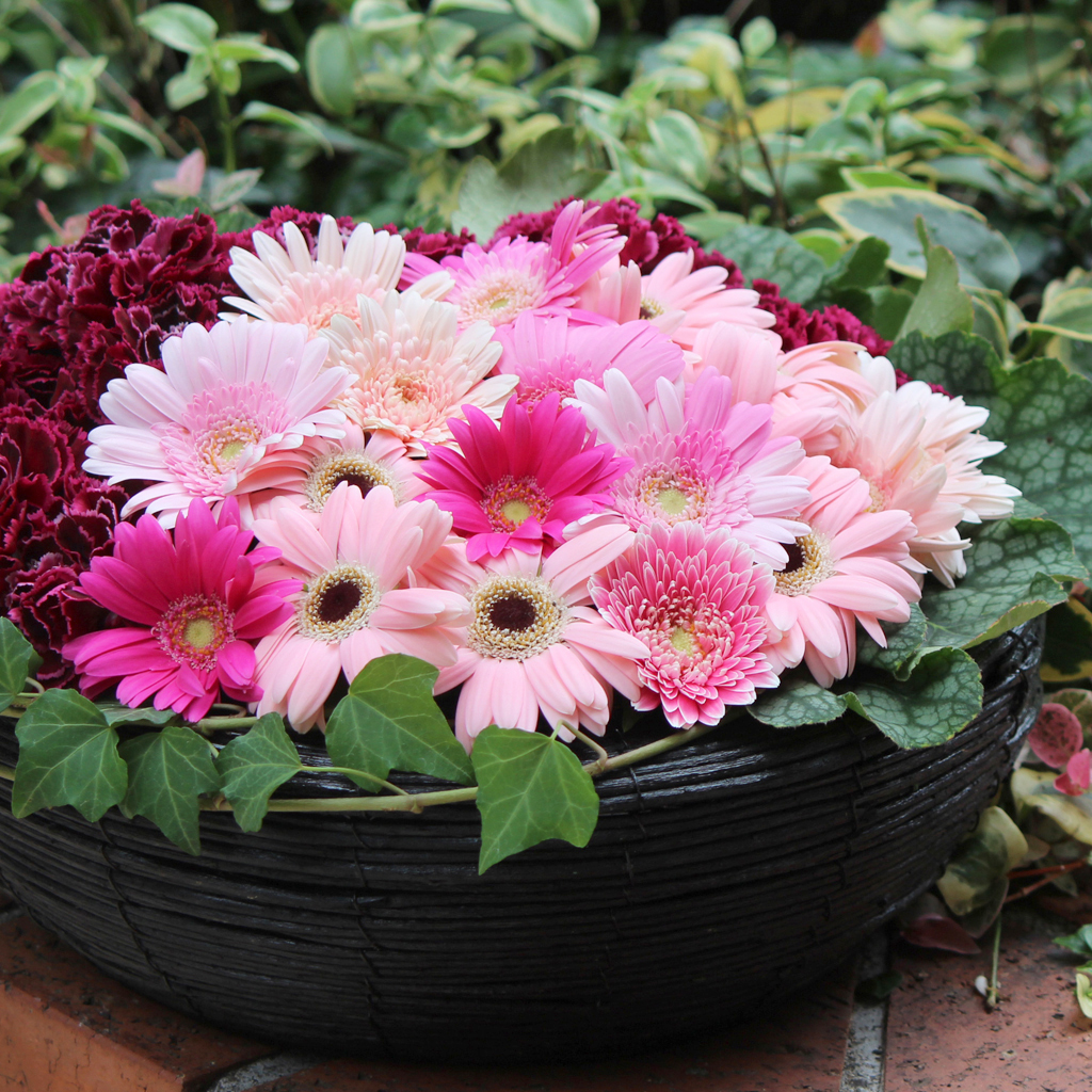 『無垢で深い愛』を象徴するピンクのカーネーション。幸福感あふれる色彩のフラワーギフト