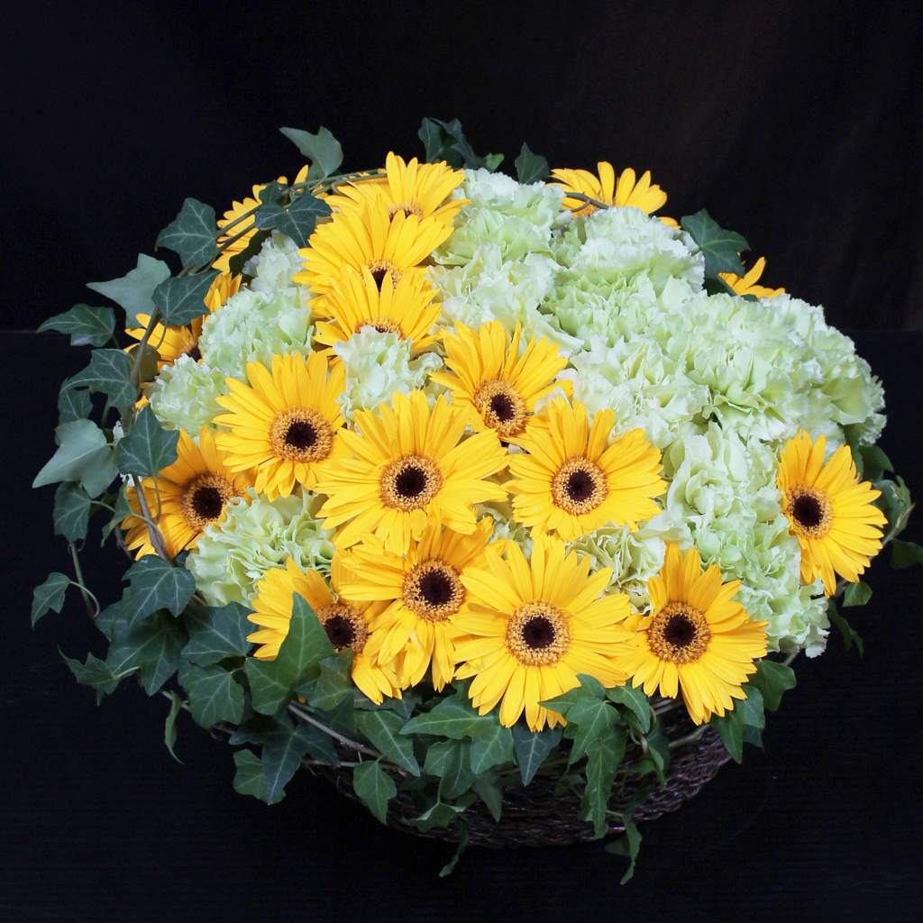 元気なイエローのガーベラと爽やかなグリーンを詰め合わせた、ハッピーバスケット（イエロー）