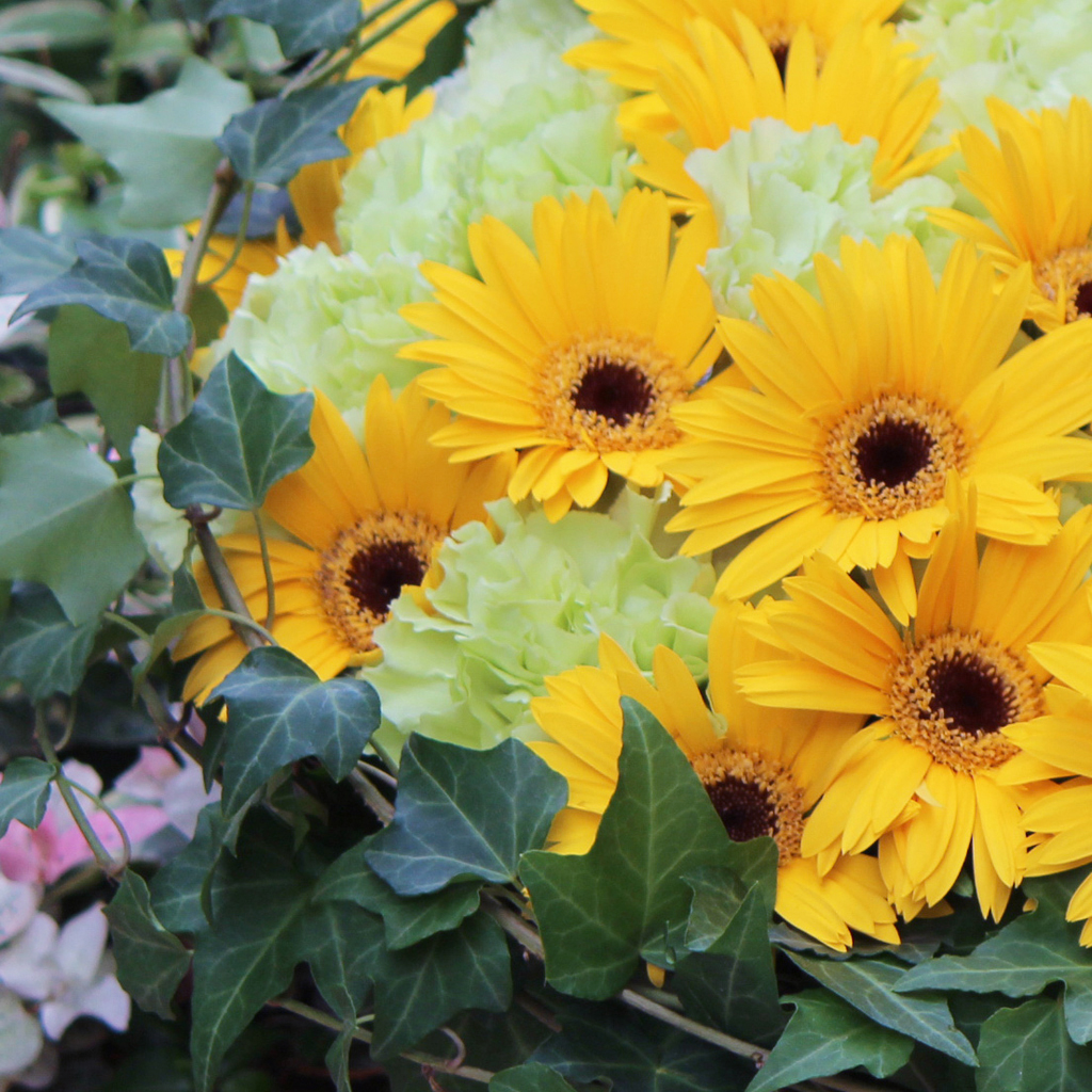 『希望』を象徴するガーベラを中心に、明るい光を感じさせるビタミンカラーのフラワーアレンジメント