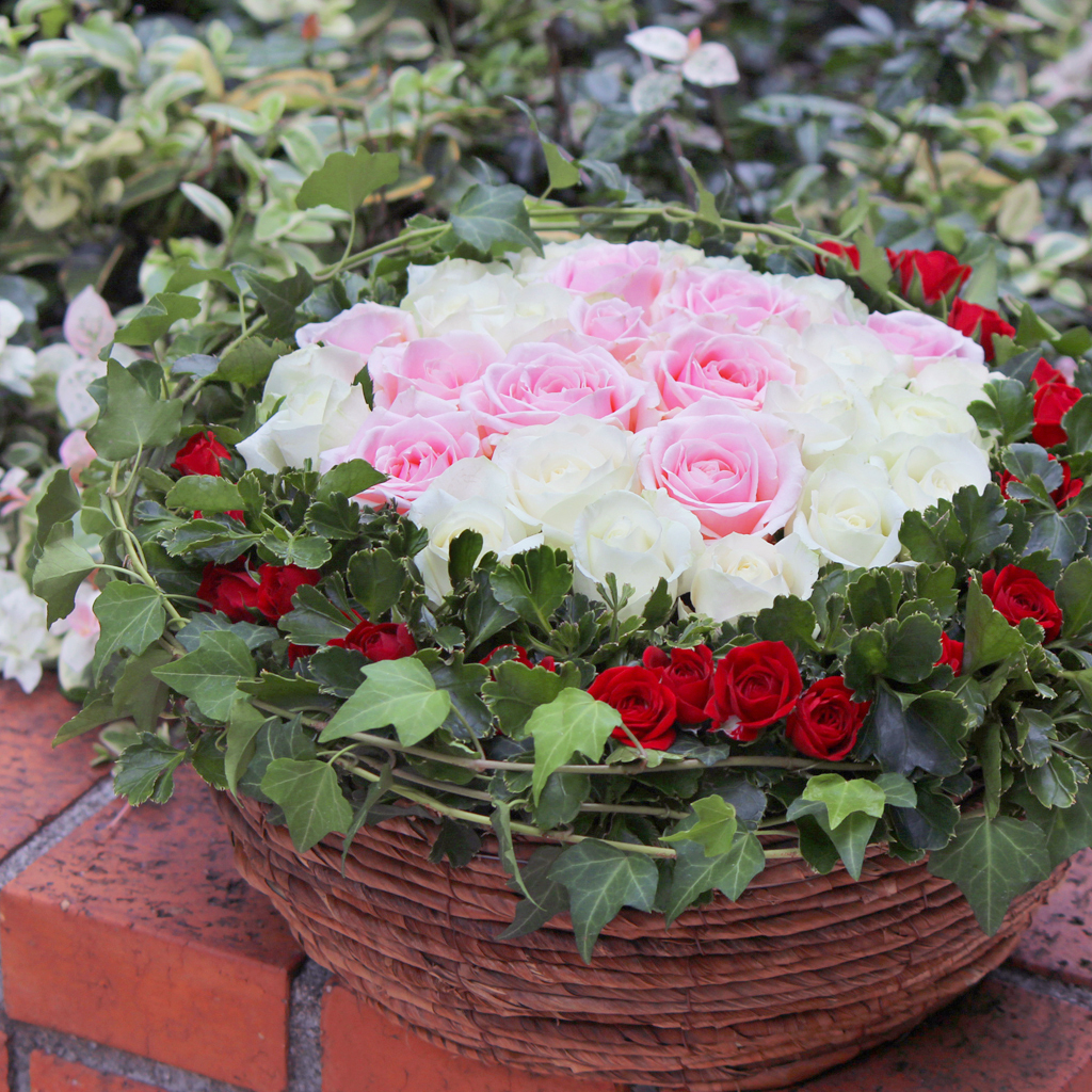 赤・白・ピンクのバラが織りなす、コントラストが美しい上品なフラワーギフト
