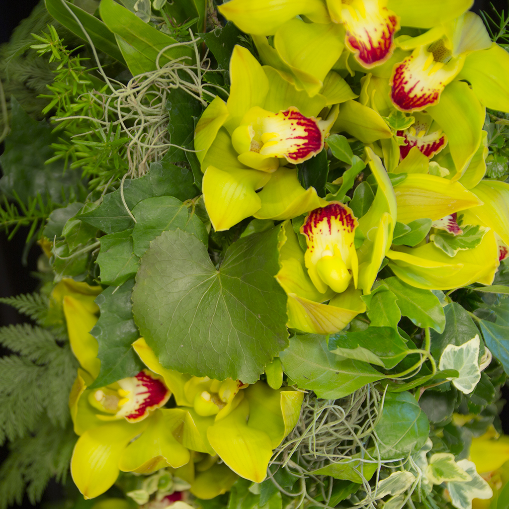 瑞々しいグリーンのシンビジウムと、折り重なるリーフが織りなす力強い造形のアップ