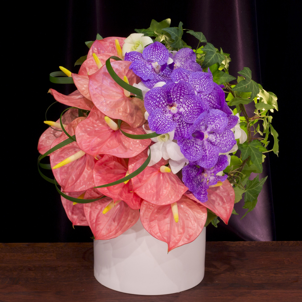 パッシィオーネ