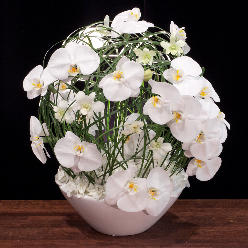 グリーンの軌道に胡蝶蘭とデンファレが浮かぶように配された、独創的なアレンジメント「サテライツ」