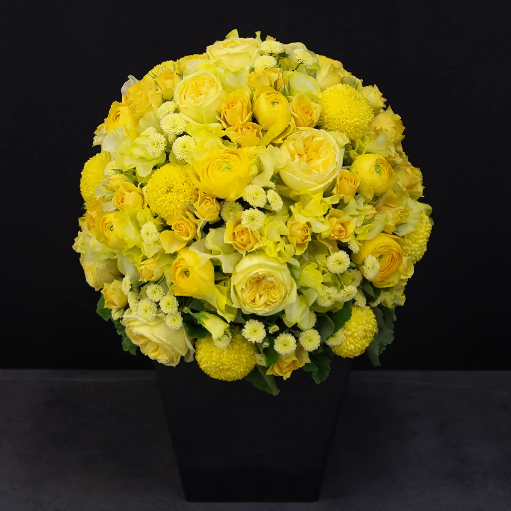 ルナ・セレーヌ