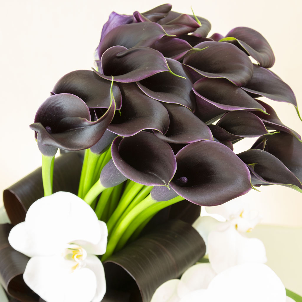 漆黒のカラーの滑らかな曲線と、気品ある蘭の花びらが織りなす高級感溢れるアップショット