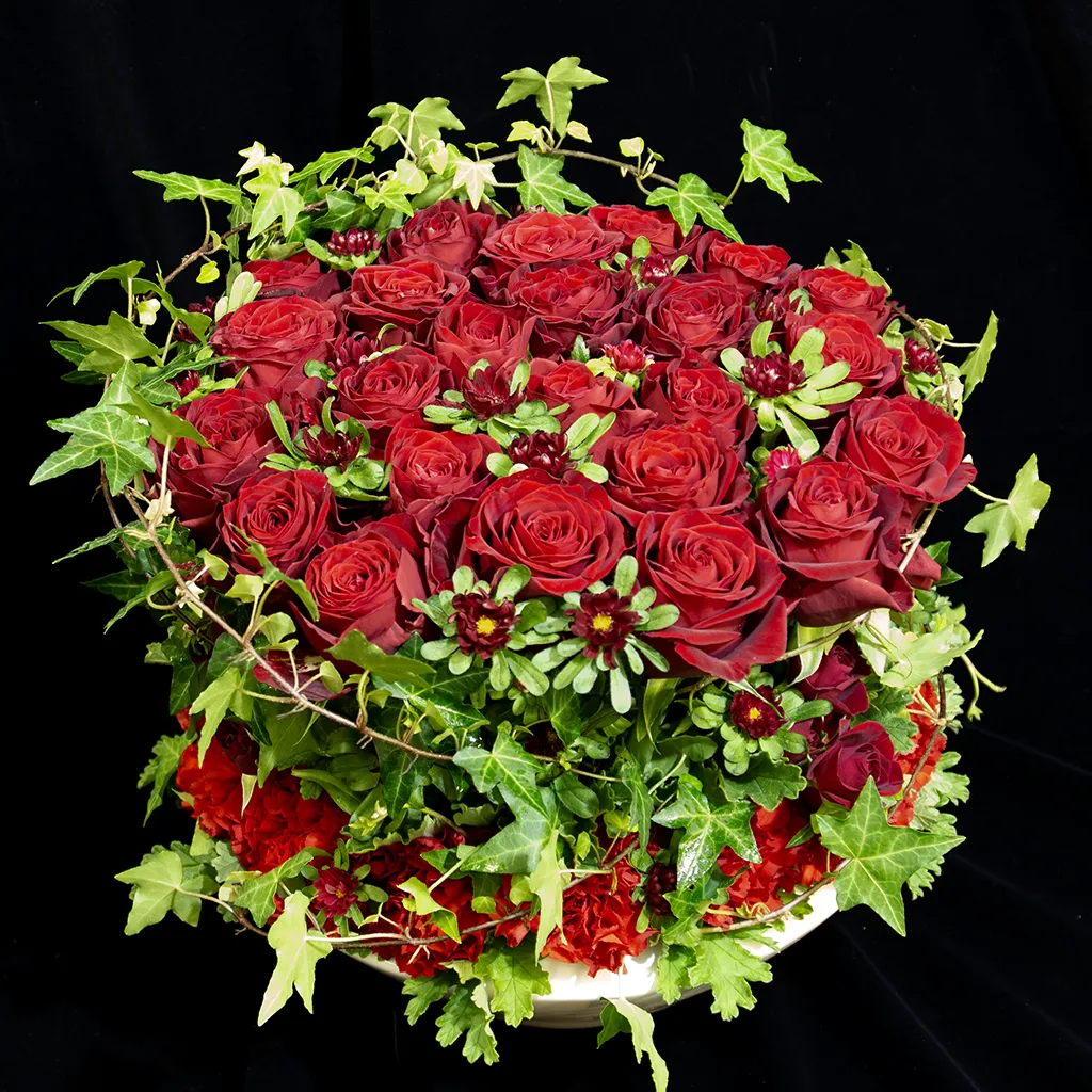 レッドツーストーリー