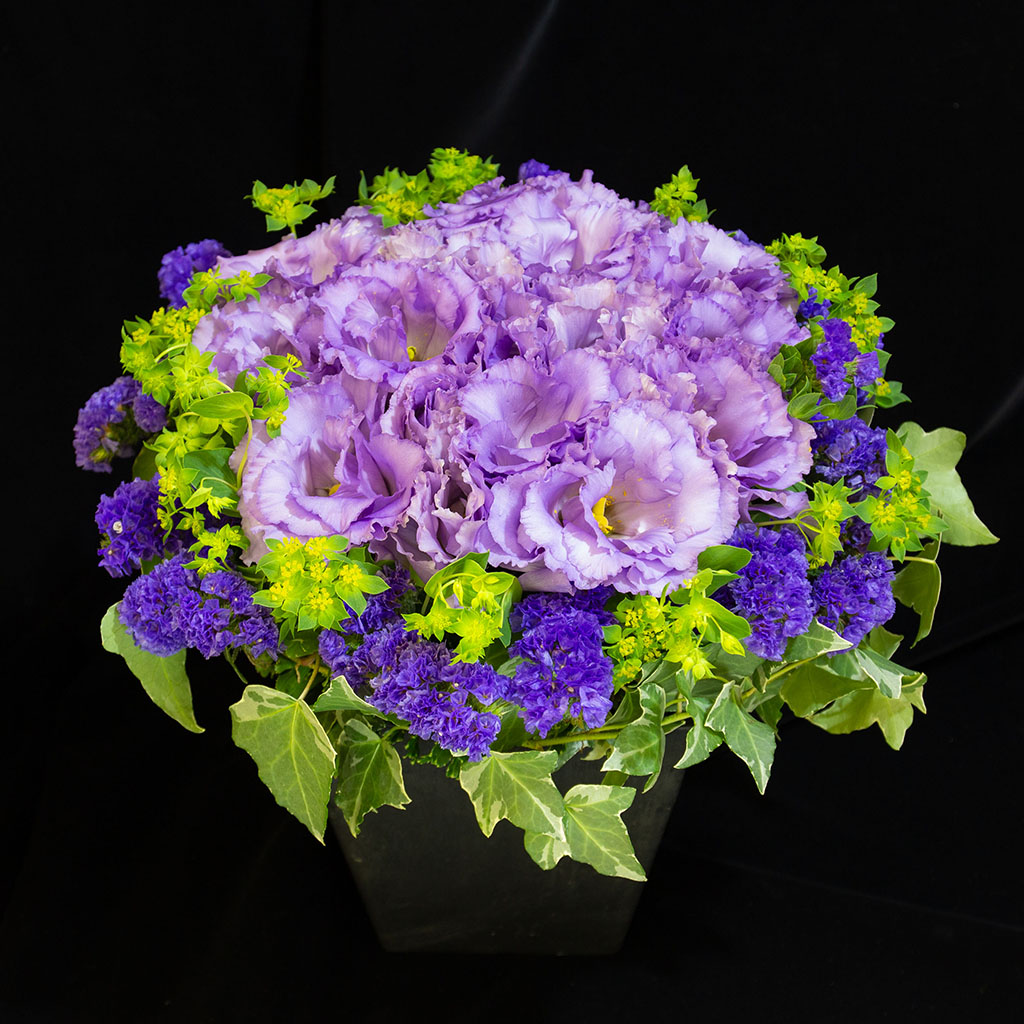 宝石のような煌めきを放つパープルグラデーション。希望を伝えるエレガントなフラワーギフト