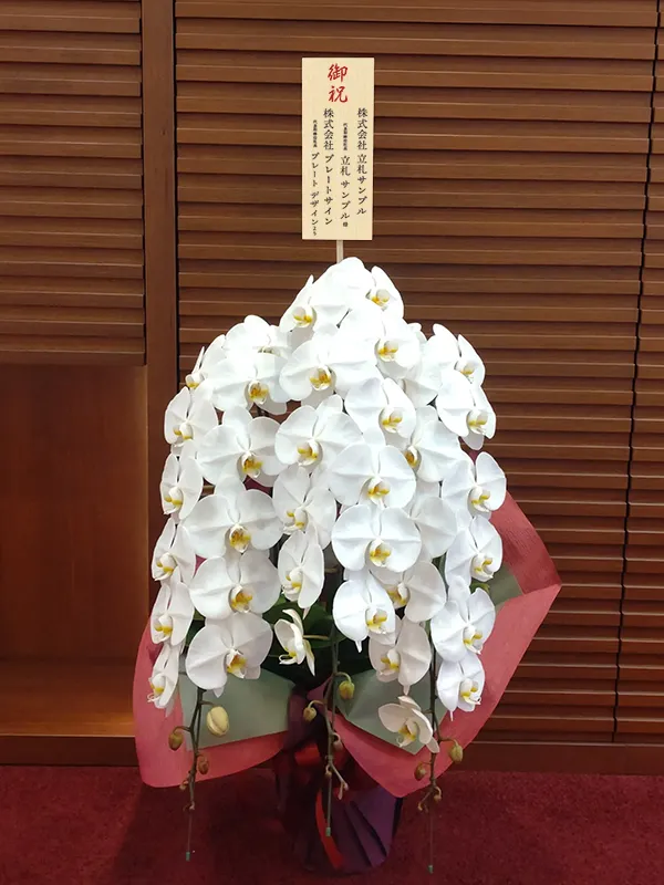 縦書きの立札を設置した胡蝶蘭