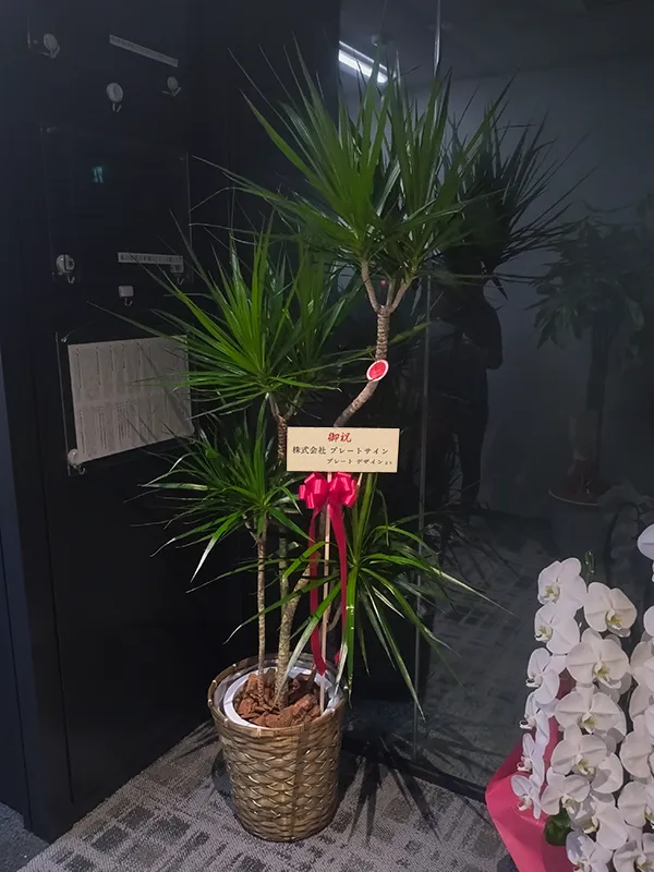 横型の立て札が設置された観葉植物