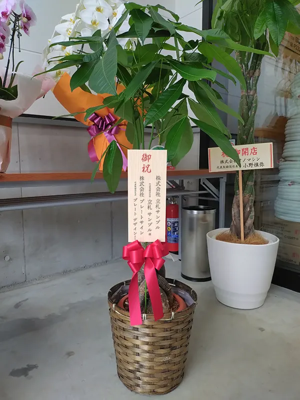 縦型の立て札が設置された観葉植物
