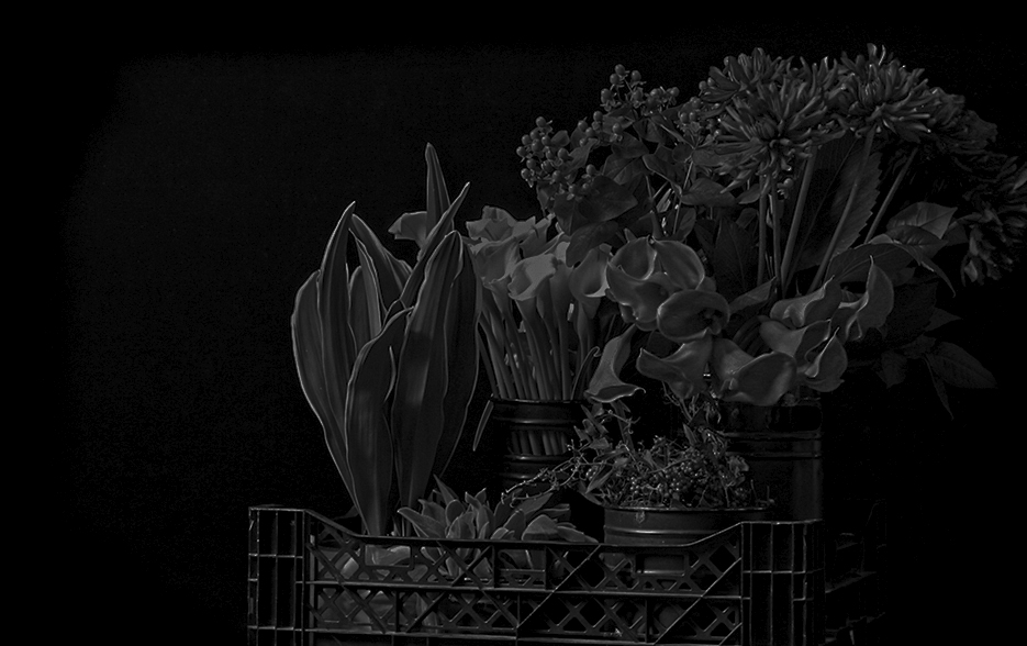 スタッフイメージ画像