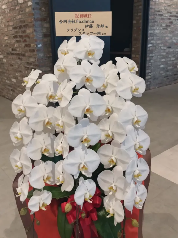 胡蝶蘭 立札イメージ